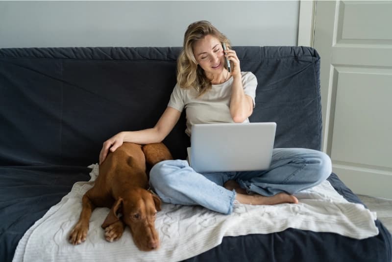 Woman working from home on laptop with relaxed brown dog resting peacefully beside her on the bed