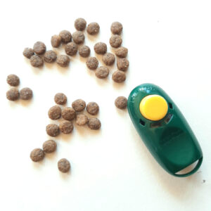 a clicker with dog kibble