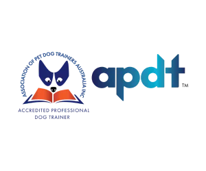 apdt logo 1